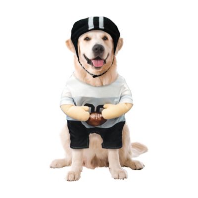 Image showing  Football Player Pet Costume