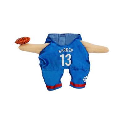 Image showing  Basketball Player Pet Costume