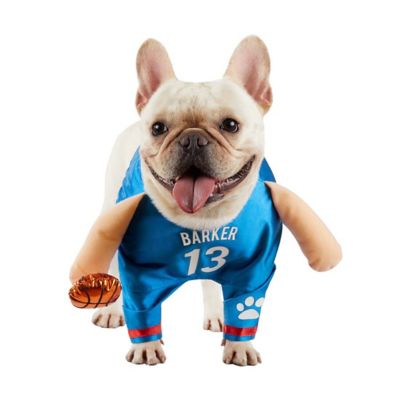 Image showing 6 th Best Furry Friends Basketball Player Pet Costume