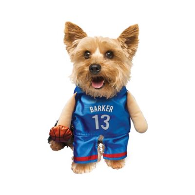 Image showing  Basketball Player Pet Costume