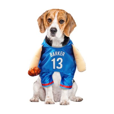 Image showing  Basketball Player Pet Costume