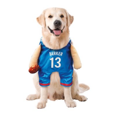 Image showing  Basketball Player Pet Costume