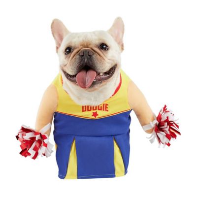 Image showing 6 th Best Furry Friends Cheerleader Pet Costume