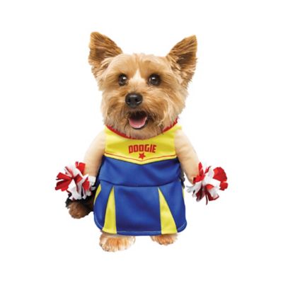 Image showing  Cheerleader Pet Costume
