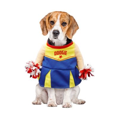 Image showing  Cheerleader Pet Costume