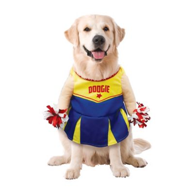 Image showing  Cheerleader Pet Costume