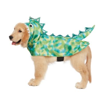 Image showing  Dinosaur Pet Costume
