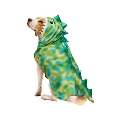 Image showing  Dinosaur Pet Costume