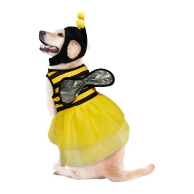 Image showing  Bumblebee Pet Costume