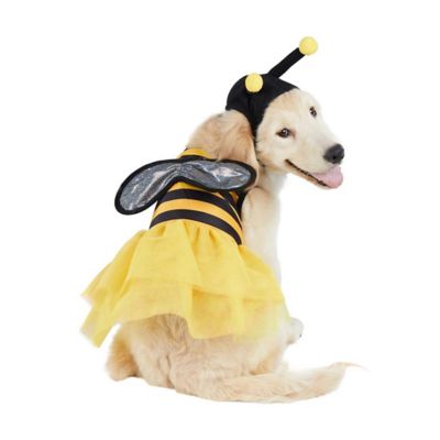 Image showing 6 th Best Furry Friends Bumblebee Pet Costume