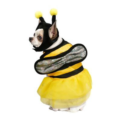 Image showing  Bumblebee Pet Costume