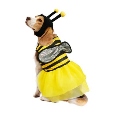 Image showing  Bumblebee Pet Costume