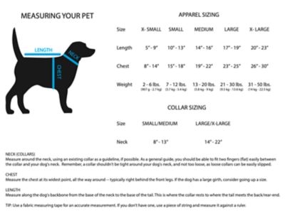 Image showing 5 th Best Furry Friends Bumblebee Pet Costume