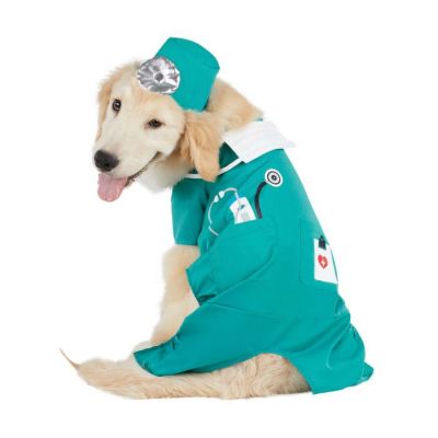 Image showing  Nurse Pet Costume