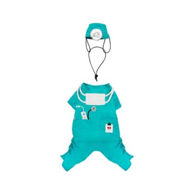 Image showing  Nurse Pet Costume