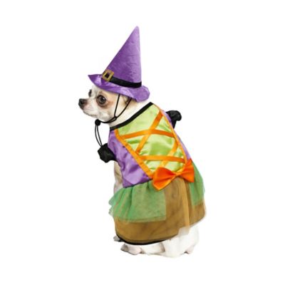 Best Furry Friends Witch Dress Pet Costume