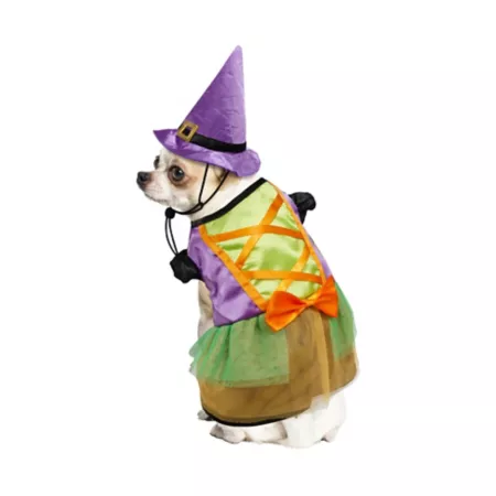 Best Furry Friends Pet Witch Costume Dog Costumes