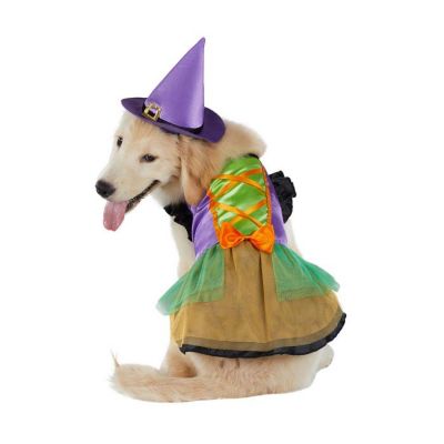 Image showing  Witch Dress Pet Costume