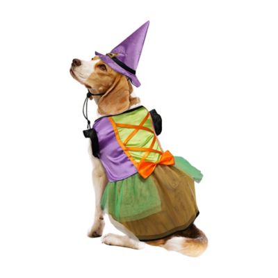 Image showing  Witch Dress Pet Costume