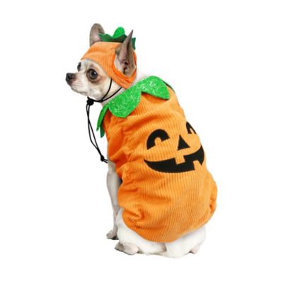 Image showing 1 th Best Furry Friends JOL Pumpkin Pet Costume