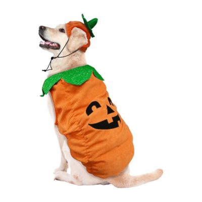 Image showing 3 th Best Furry Friends JOL Pumpkin Pet Costume