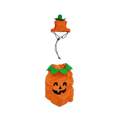 Image showing 5 th Best Furry Friends JOL Pumpkin Pet Costume