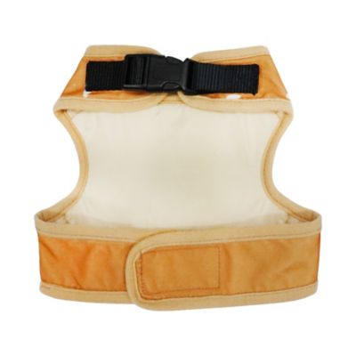 Image showing  Hotdog Harness