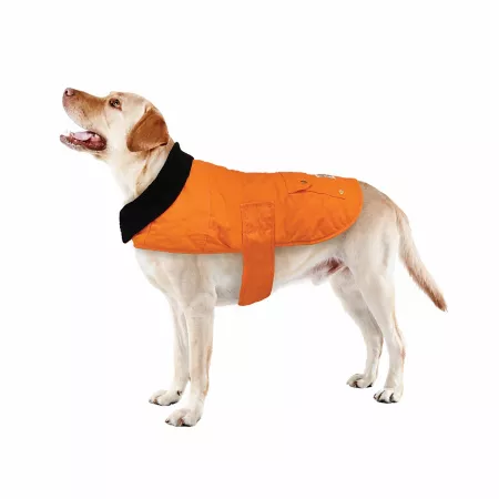 Best Furry Friends Orange Duck Canvas Coat Dog Coats & Jackets