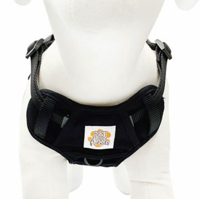 Image showing 3 th Best Furry Friends Black Duck Canvas Harness
