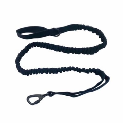 Image showing  Black Shock Absorbing Leash