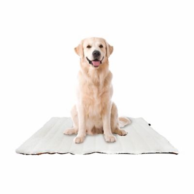 Best Furry Friends Pet Travel Bed