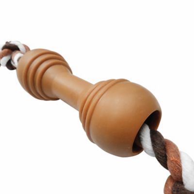 Image showing  Rope & Dumbbell Dog Toy