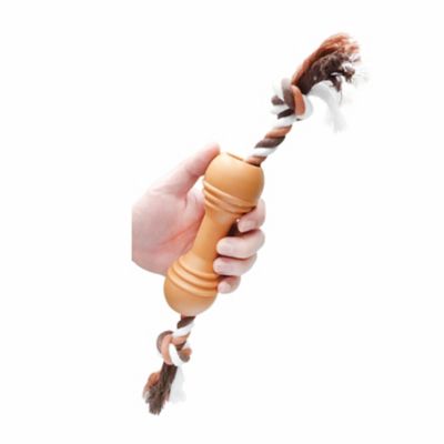 Image showing  Rope & Dumbbell Dog Toy