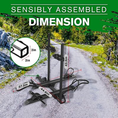 Image showing 6 th Young Electric 200 lb. Aluminum Hitch Mounted Platform E-Bike Rack