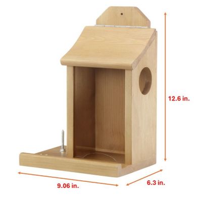 Image showing Royal Wing 3 lb. Cedar Squirrel Feeder