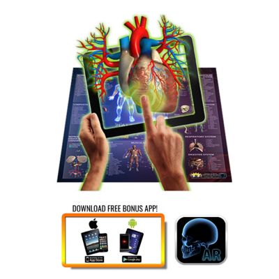 Image showing  Human Anatomy Interactive Chart