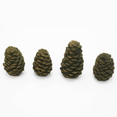 Image showing  Decorative Concrete Pine Cones