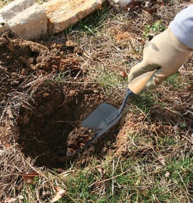 Image showing 5 th Ames 2 pc. Wood Grip Hand Trowel and Cultivator Set