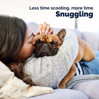 Image showing 8 th Glandex Medicated Anal Gland Relief Spray, 4 oz.