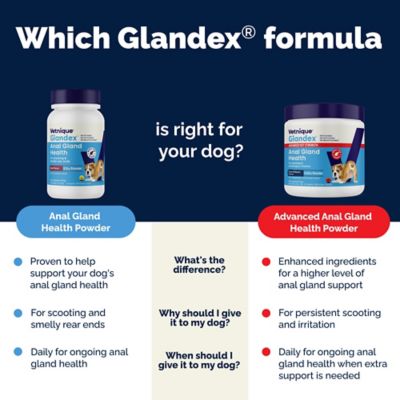 Image showing 6 th Glandex Beef Liver Powder Supplement, 4 oz. Jar