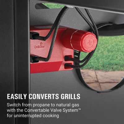 Image showing  Natural Gas Conversion Kit for Revolution Grills