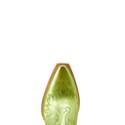 Image showing 6 th Ariat Women's Dixon Boots