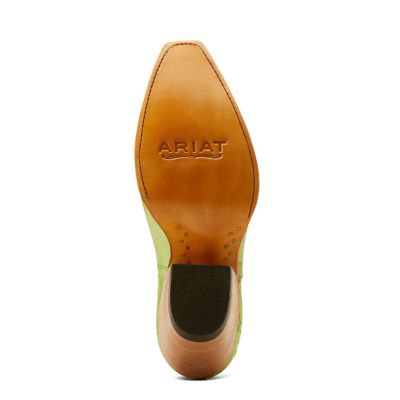 Image showing 5 th Ariat Women's Dixon Boots