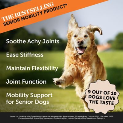 Image showing  Hemp Hip+Joint Health Senior - Chicken (90 ct. Jar)