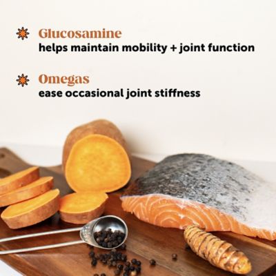 Image showing  Hemp Hip+Joint Health Senior - Chicken (90 ct. Jar)