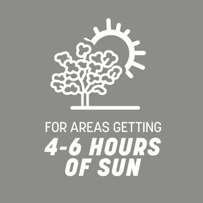 Image showing 5 th Pennington Contractor's Mix North, 20 lb.