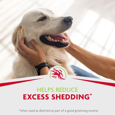 Image showing 5 th FURminator Rinse-Free Foam Dog Comb