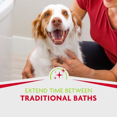 Image showing 9 th FURminator Rinse-Free Foam Dog Comb