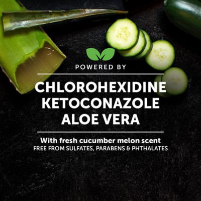 Image showing  Chlorhexidine Shampoo (Cat/Dog) - (16 fl oz. Bottle)