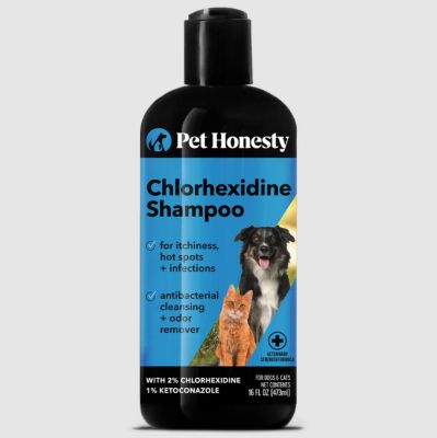 Image showing 6 th Pet Honesty Chlorhexidine Shampoo (Cat/Dog) - (16 fl oz. Bottle)